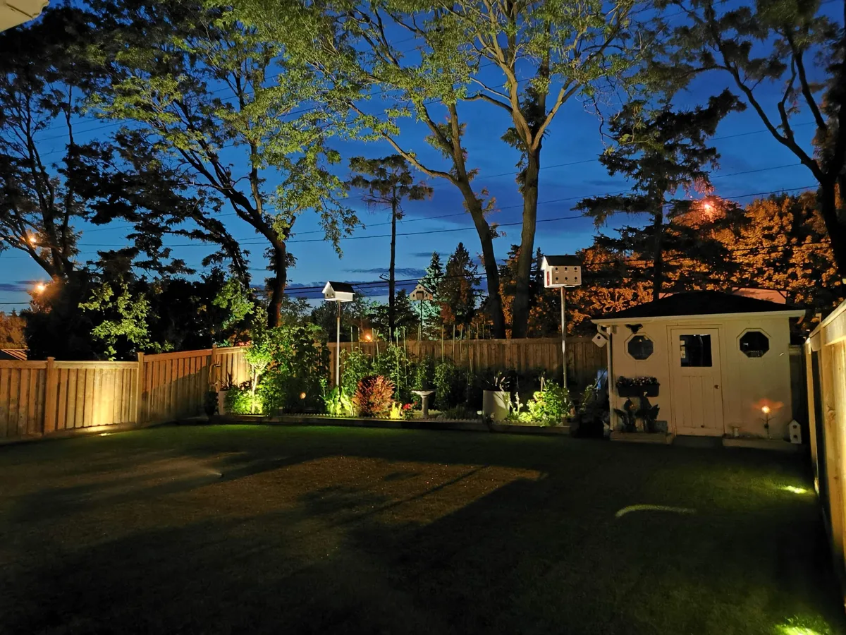 Backyard lawn at night with uplighting along a planted fence line