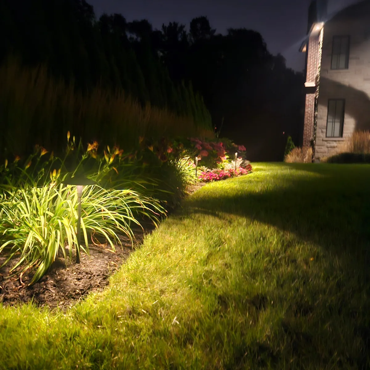 Path light and uplighting on a perennial garden bed at night